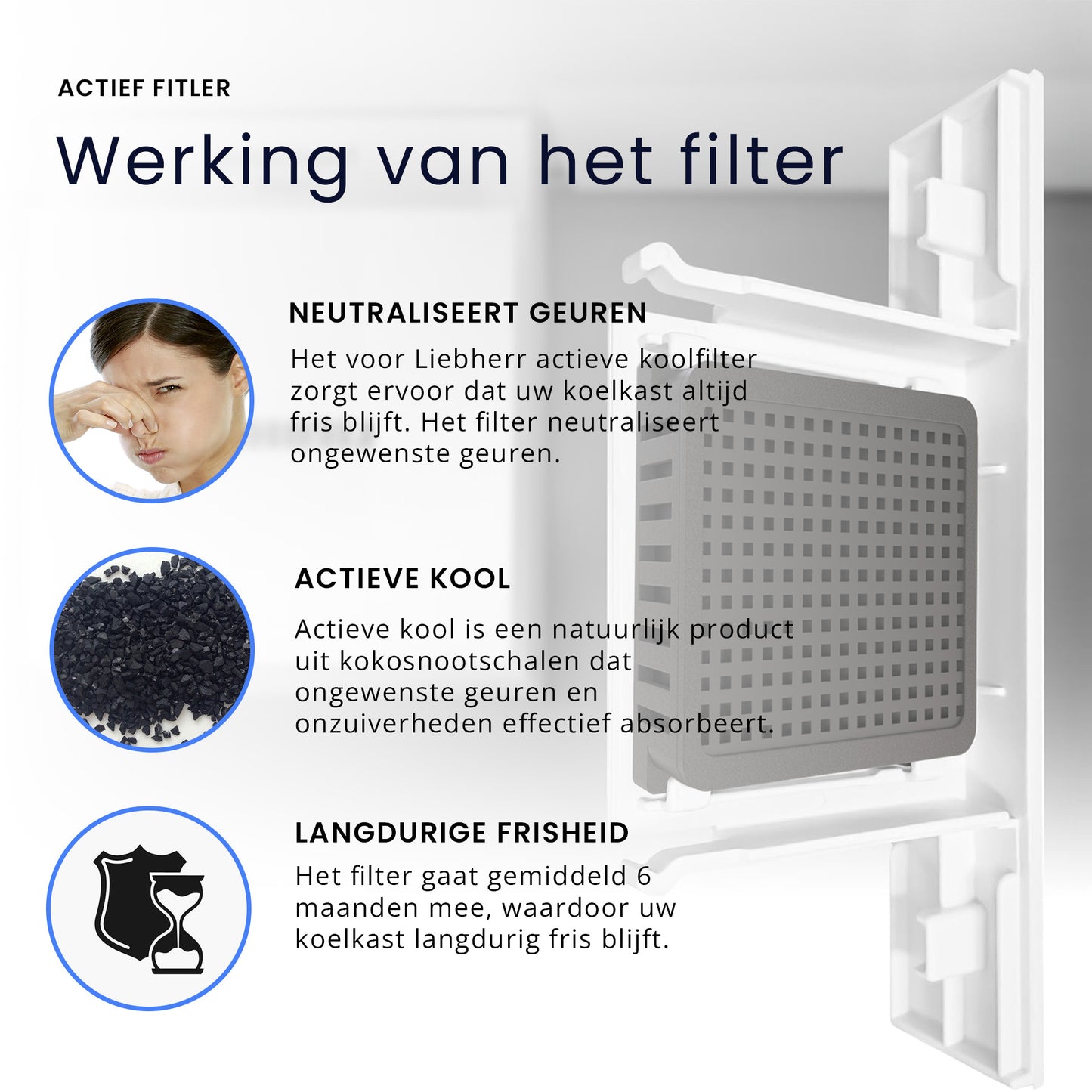 Filter geschikt voor Lieberr (2 STUKS) 9882429