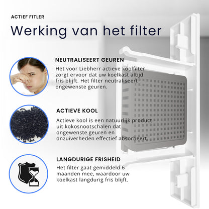 Filter geschikt voor Lieberr (2 STUKS) 9882429